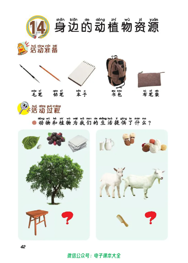 五制二上教材_电子课本_小学电子课本_05科学_青岛版（63、54版）_小学科学青岛五四制1-5上册
