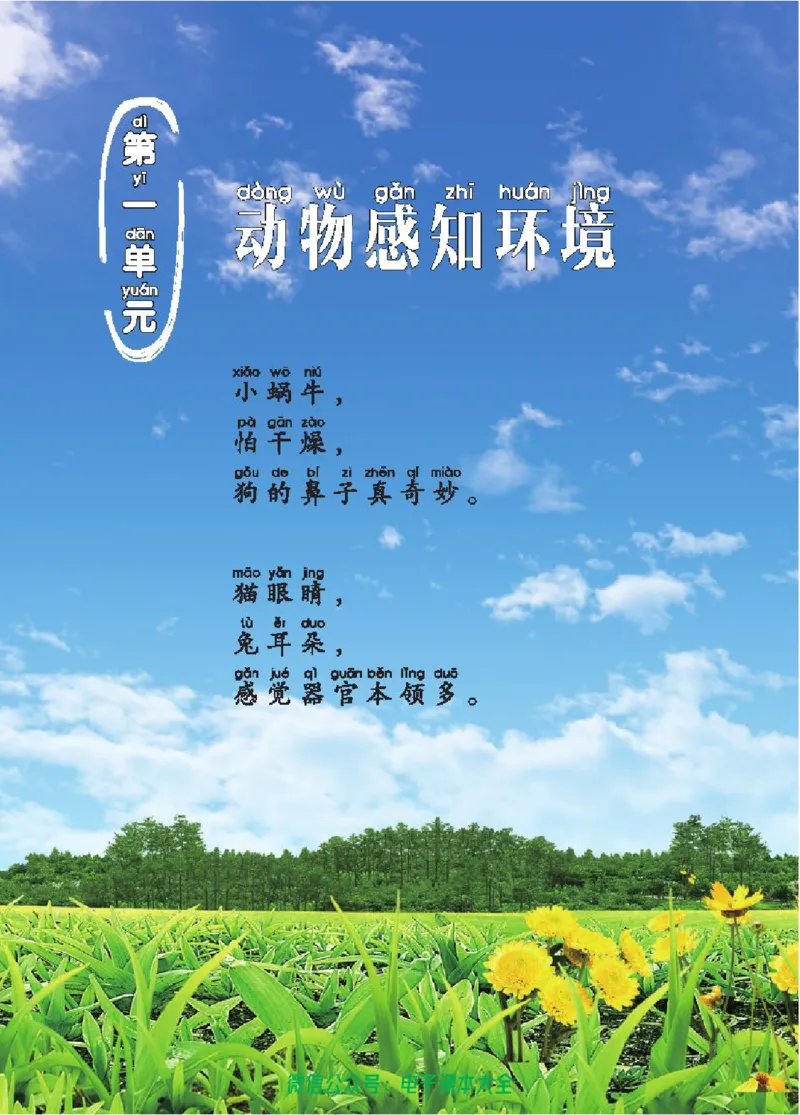 五制二上教材_电子课本_小学电子课本_05科学_青岛版（63、54版）_小学科学青岛五四制1-5上册