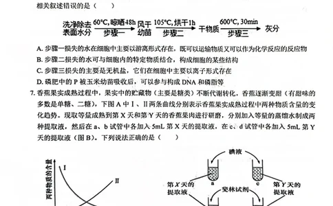 广西&ldquo;贵百河&mdash;武鸣高中&rdquo;2024-2025学年高一上学期12月新高考月考生物试题_2024年12月试卷_1220广西壮族自治区&ldquo;贵百河-武鸣高中&rdquo;2024-2025学年高一上学期12月月考试题