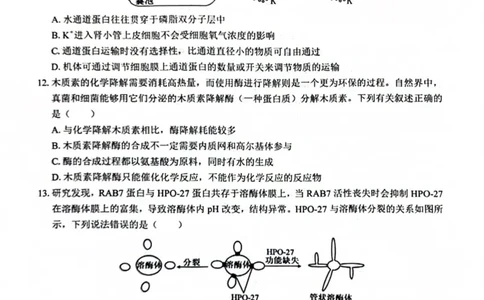 广西&ldquo;贵百河&mdash;武鸣高中&rdquo;2024-2025学年高一上学期12月新高考月考生物试题_2024年12月试卷_1220广西壮族自治区&ldquo;贵百河-武鸣高中&rdquo;2024-2025学年高一上学期12月月考试题