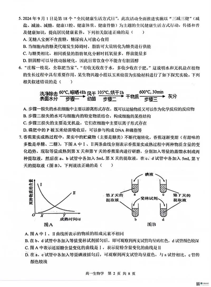 广西&ldquo;贵百河&mdash;武鸣高中&rdquo;2024-2025学年高一上学期12月新高考月考生物试题_2024年12月试卷_1220广西壮族自治区&ldquo;贵百河-武鸣高中&rdquo;2024-2025学年高一上学期12月月考试题