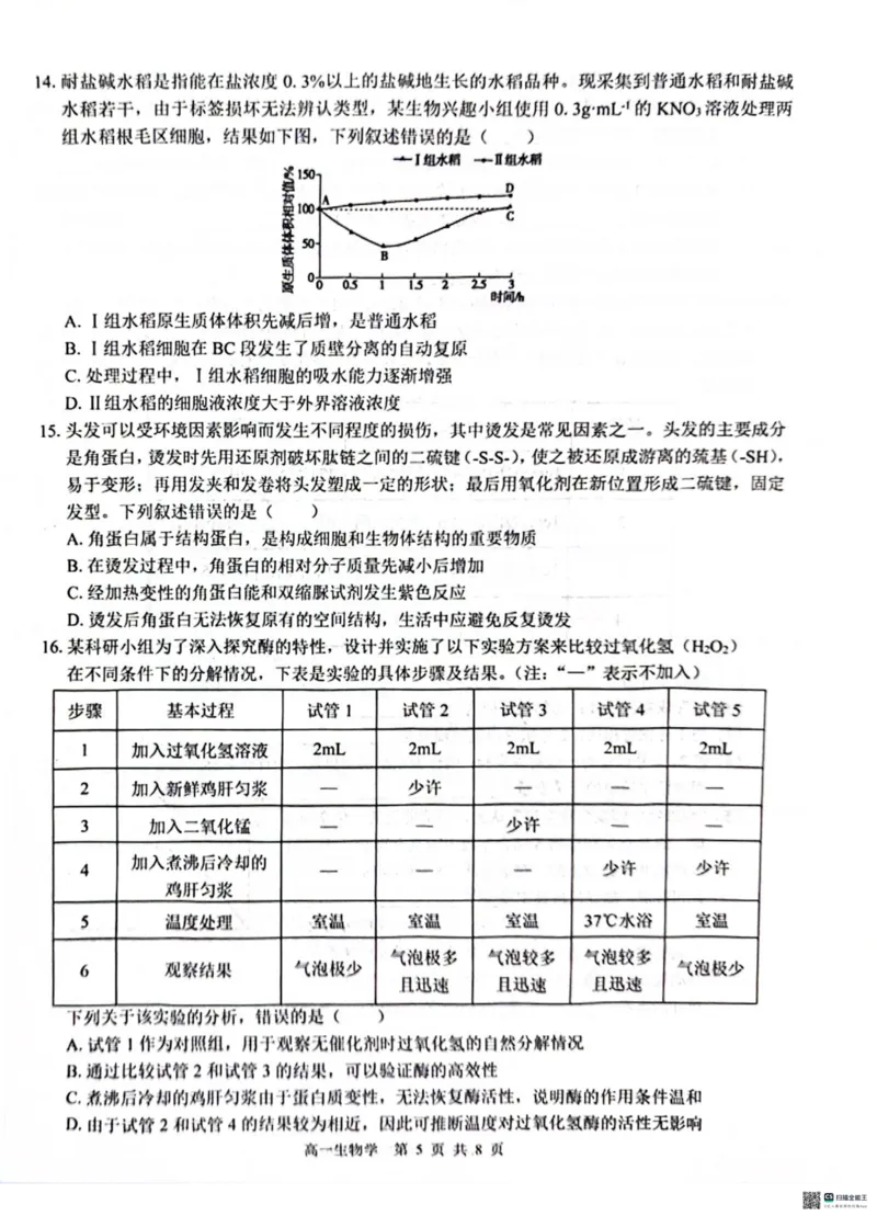 广西&ldquo;贵百河&mdash;武鸣高中&rdquo;2024-2025学年高一上学期12月新高考月考生物试题_2024年12月试卷_1220广西壮族自治区&ldquo;贵百河-武鸣高中&rdquo;2024-2025学年高一上学期12月月考试题
