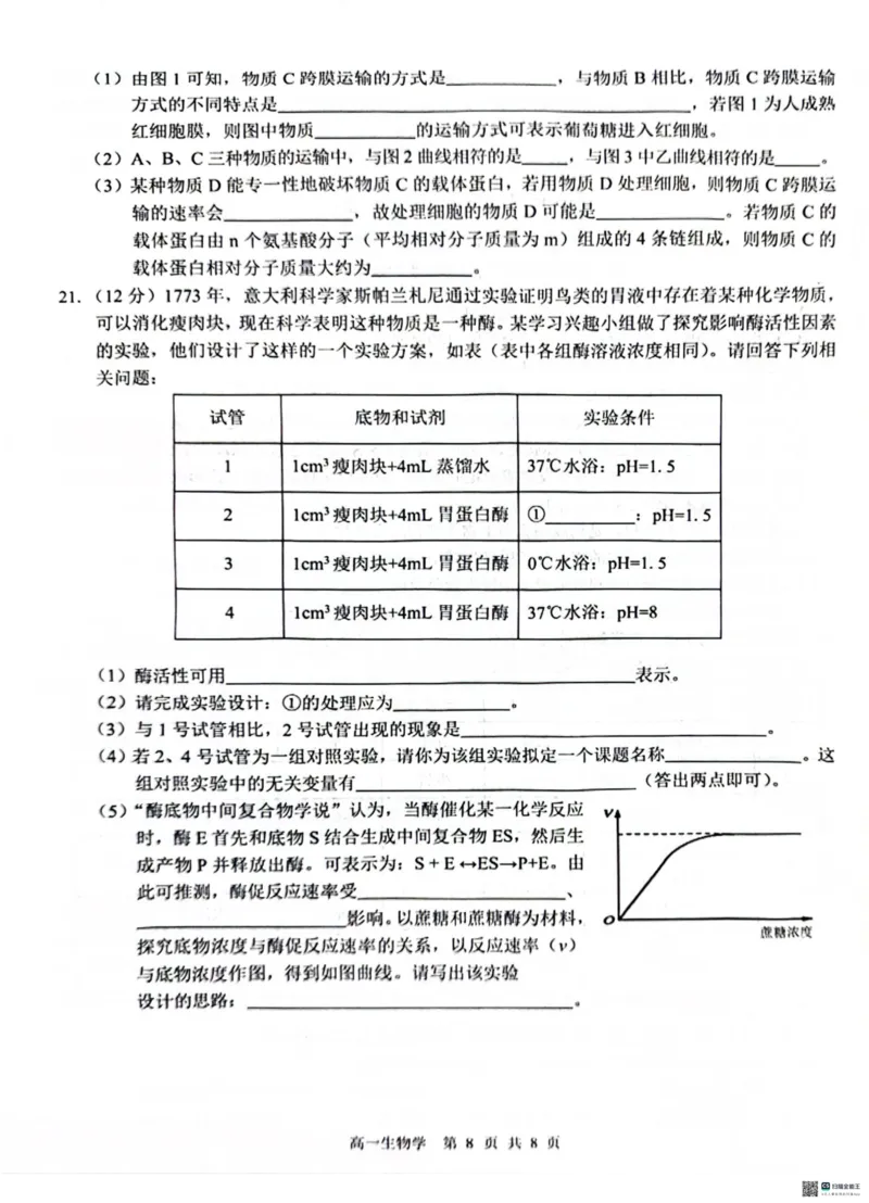 广西&ldquo;贵百河&mdash;武鸣高中&rdquo;2024-2025学年高一上学期12月新高考月考生物试题_2024年12月试卷_1220广西壮族自治区&ldquo;贵百河-武鸣高中&rdquo;2024-2025学年高一上学期12月月考试题