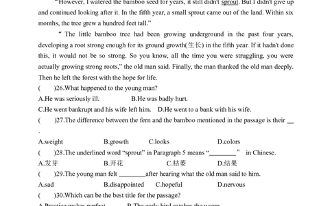 Unit14SectionAGrammarfocus-4b学案(知识精讲+分层作业)(含答案)_最新人教版英语九年级全册_新更新初中英语9全_03课件+学案