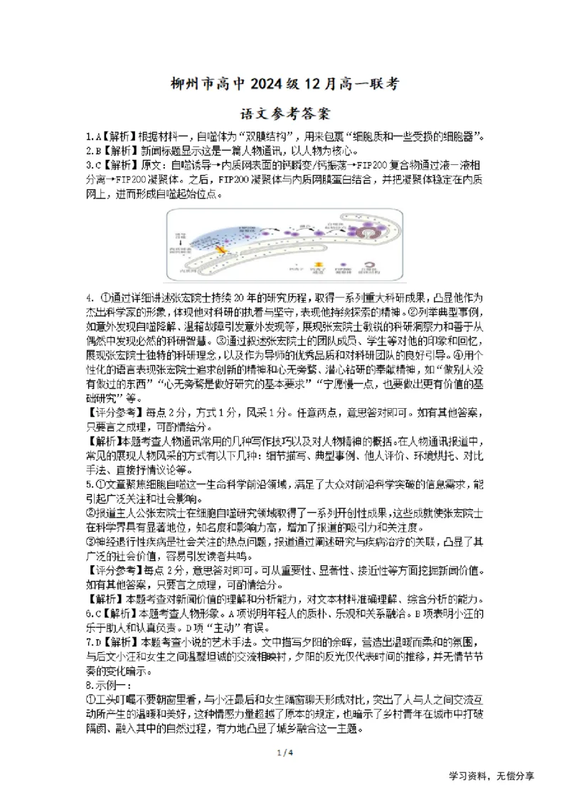 柳州市2024-12月高一联考语文答案_2024年12月试卷_1211广西柳州市2024-2025学年12月高一联考_广西示范性高中2024年秋季期中高一语文试卷