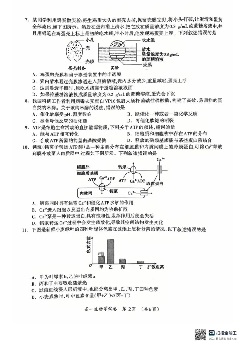桂林市2025-2026学年度上学期期末质量检测高一年级生物学2025-2026学年度上学期期末质量检测高一年级生物学试题_2026年02月高一试卷