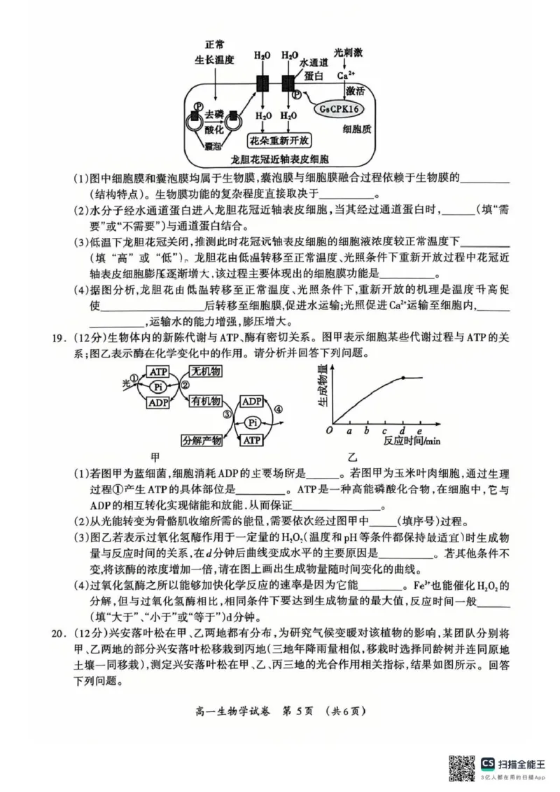 桂林市2025-2026学年度上学期期末质量检测高一年级生物学2025-2026学年度上学期期末质量检测高一年级生物学试题_2026年02月高一试卷