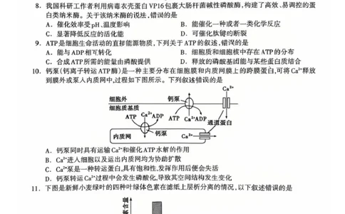 桂林市2025-2026学年度上学期期末质量检测高一年级生物学2025-2026学年度上学期期末质量检测高一年级生物学试题_2026年02月高一试卷