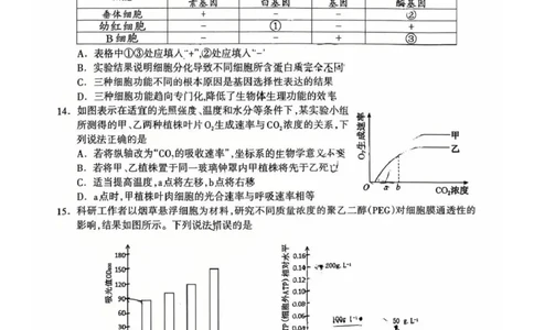桂林市2025-2026学年度上学期期末质量检测高一年级生物学2025-2026学年度上学期期末质量检测高一年级生物学试题_2026年02月高一试卷