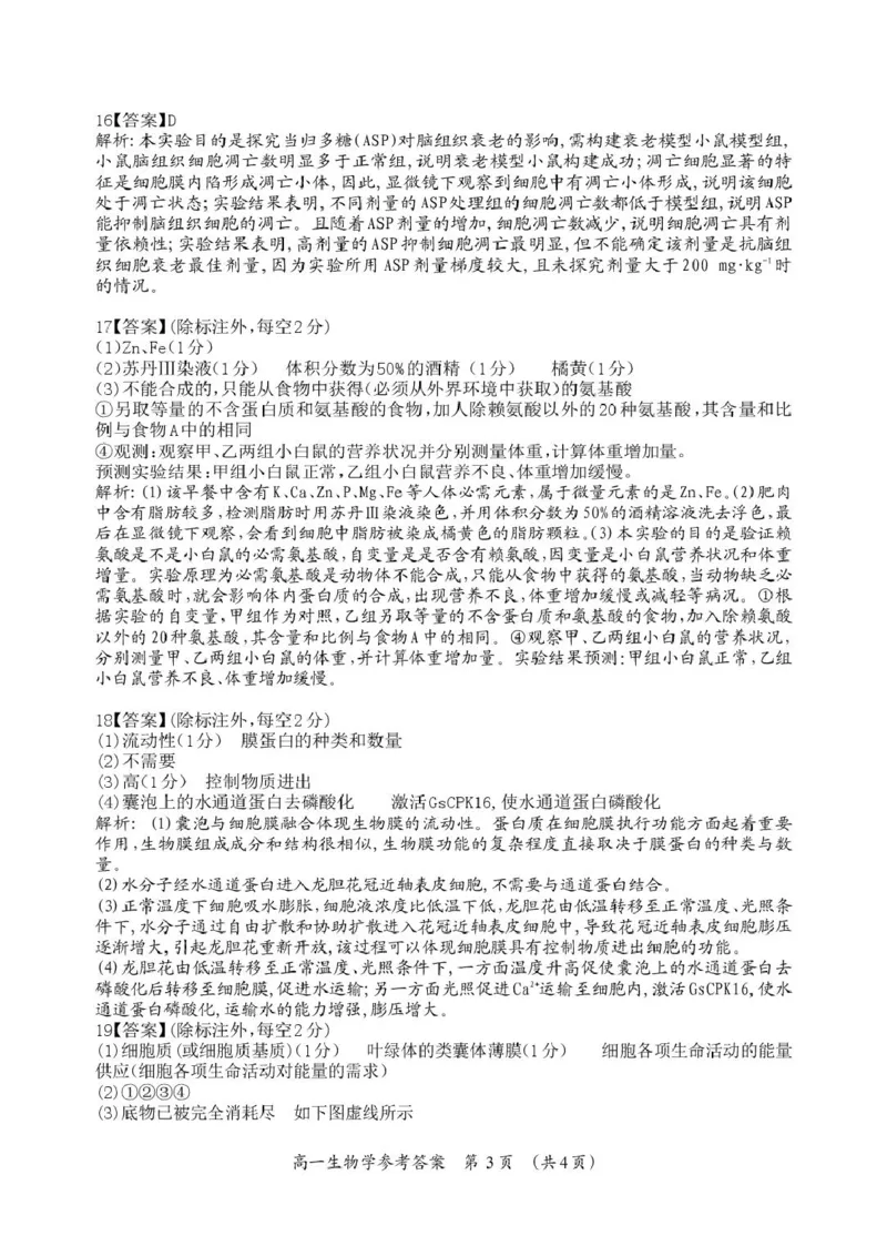桂林市2025-2026学年度上学期期末质量检测高一年级生物学高一生物答案_Print_2026年02月高一试卷_260202广西桂林市2025-2026学年高一上学期期末质量检测（全）