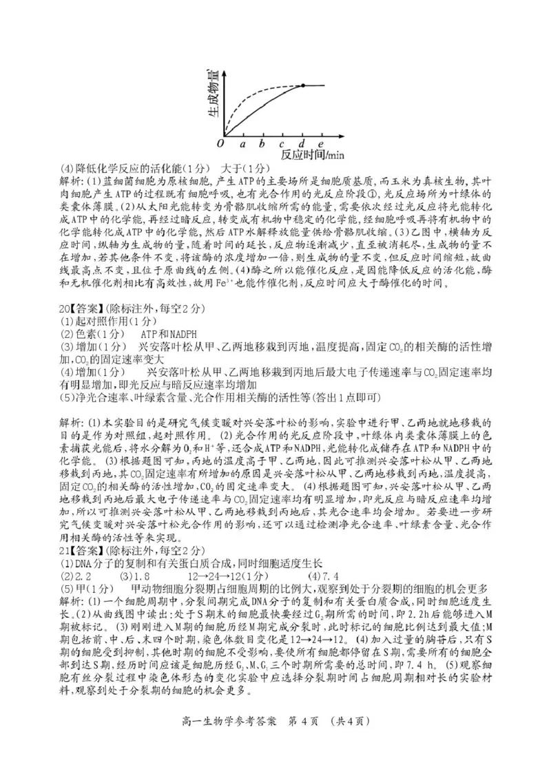 桂林市2025-2026学年度上学期期末质量检测高一年级生物学高一生物答案_Print_2026年02月高一试卷_260202广西桂林市2025-2026学年高一上学期期末质量检测（全）