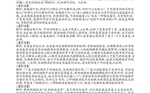 桂林市2025-2026学年度上学期期末质量检测高一年级生物学高一生物答案_Print_2026年02月高一试卷_260202广西桂林市2025-2026学年高一上学期期末质量检测（全）