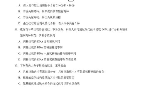 期中考试卷_2025年11月高一试卷_251113云南省玉溪第一中学2025-2026学年高一上学期期中考试（全）_云南省玉溪第一中学2025-2026学年高一上学期期中考试生物Word版含答案、答题卡