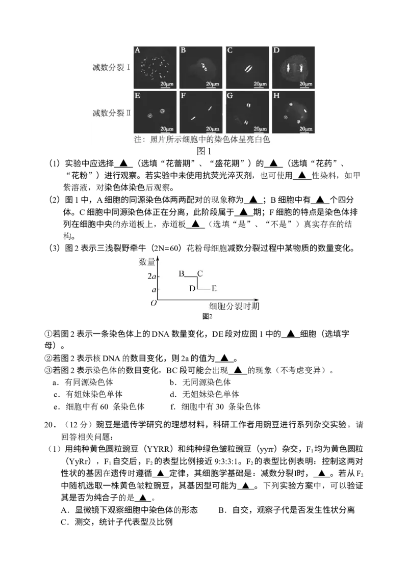 江苏扬州市邗江区2024-2025学年高一下学期期中考试生物试卷_2025年05月试卷_0518江苏省扬州市邗江区2024-2025学年高一下学期期中考试