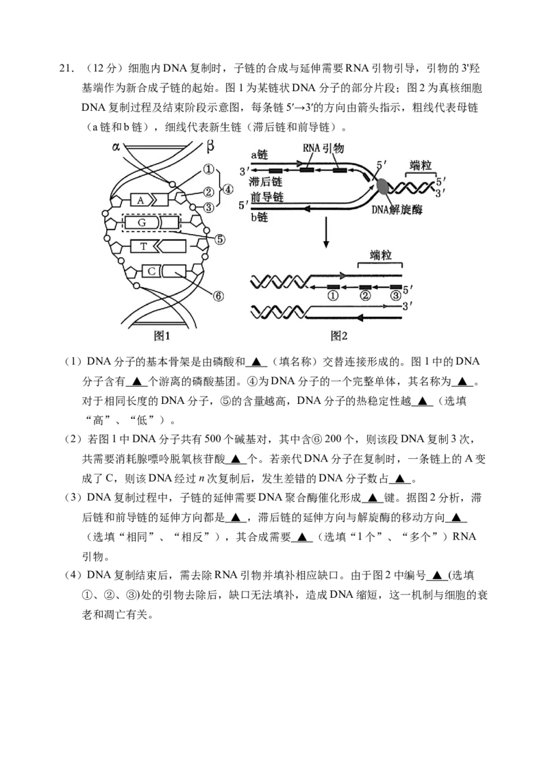 江苏扬州市邗江区2024-2025学年高一下学期期中考试生物试卷_2025年05月试卷_0518江苏省扬州市邗江区2024-2025学年高一下学期期中考试