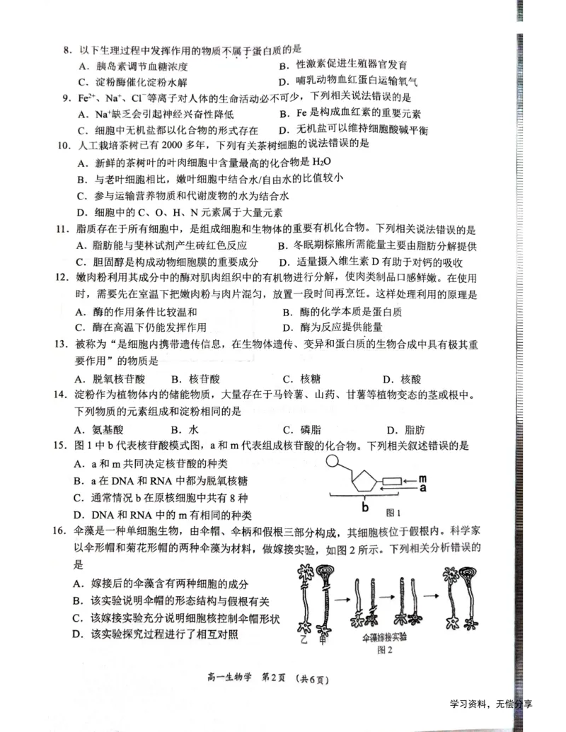 柳州市2024-12月高一联考生物试卷_2024年12月试卷_1211广西柳州市2024-2025学年12月高一联考_广西示范性高中2024年秋季期中高一生物试卷