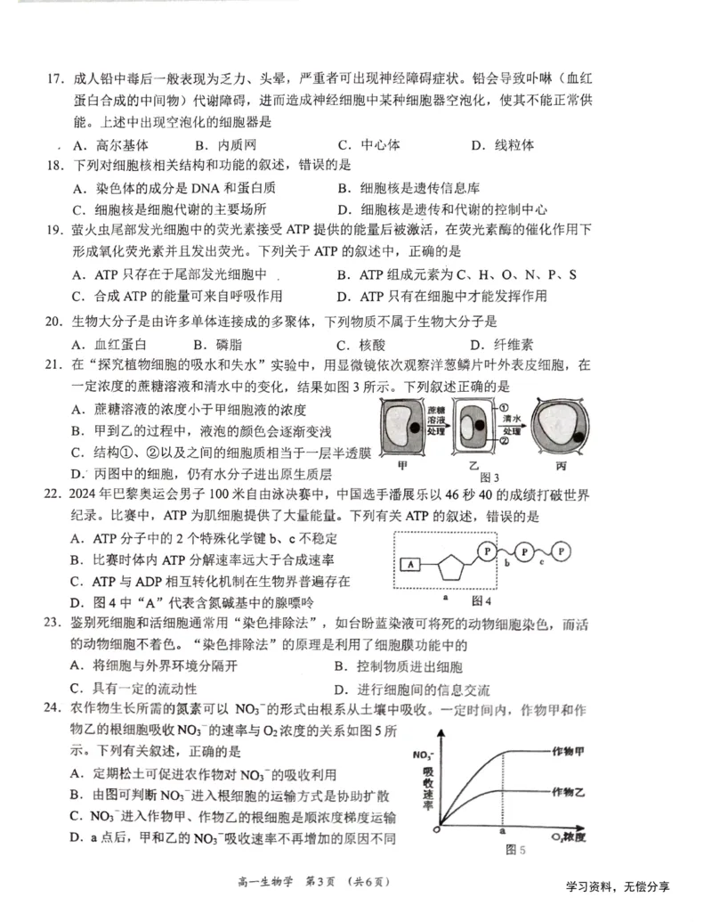 柳州市2024-12月高一联考生物试卷_2024年12月试卷_1211广西柳州市2024-2025学年12月高一联考_广西示范性高中2024年秋季期中高一生物试卷