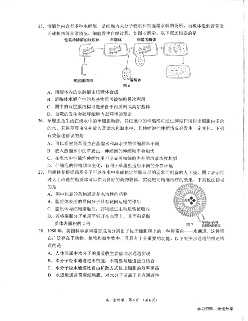 柳州市2024-12月高一联考生物试卷_2024年12月试卷_1211广西柳州市2024-2025学年12月高一联考_广西示范性高中2024年秋季期中高一生物试卷