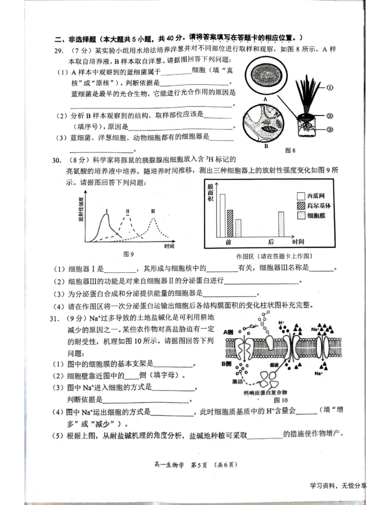 柳州市2024-12月高一联考生物试卷_2024年12月试卷_1211广西柳州市2024-2025学年12月高一联考_广西示范性高中2024年秋季期中高一生物试卷