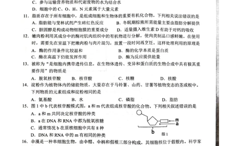 柳州市2024-12月高一联考生物试卷_2024年12月试卷_1211广西柳州市2024-2025学年12月高一联考_广西示范性高中2024年秋季期中高一生物试卷