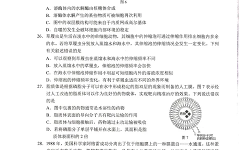 柳州市2024-12月高一联考生物试卷_2024年12月试卷_1211广西柳州市2024-2025学年12月高一联考_广西示范性高中2024年秋季期中高一生物试卷