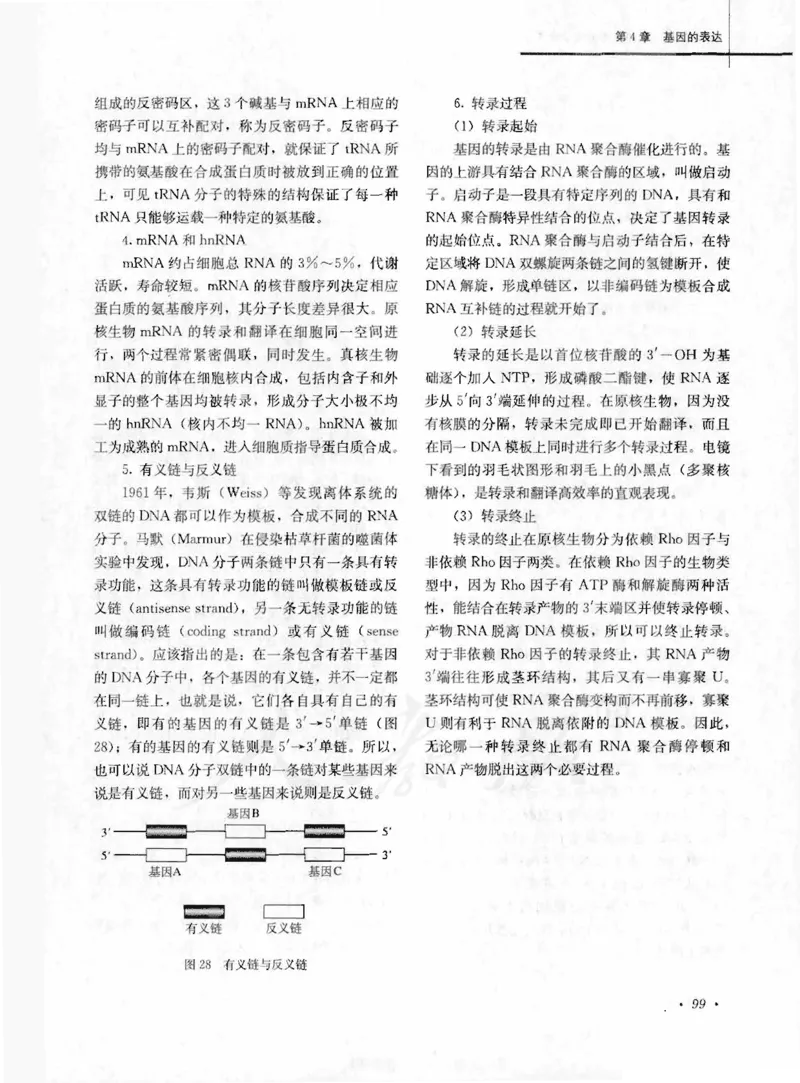 人教版-电子教材-生物2必修遗传与进化教师用书_电子课本_高中教学用书_教师用书