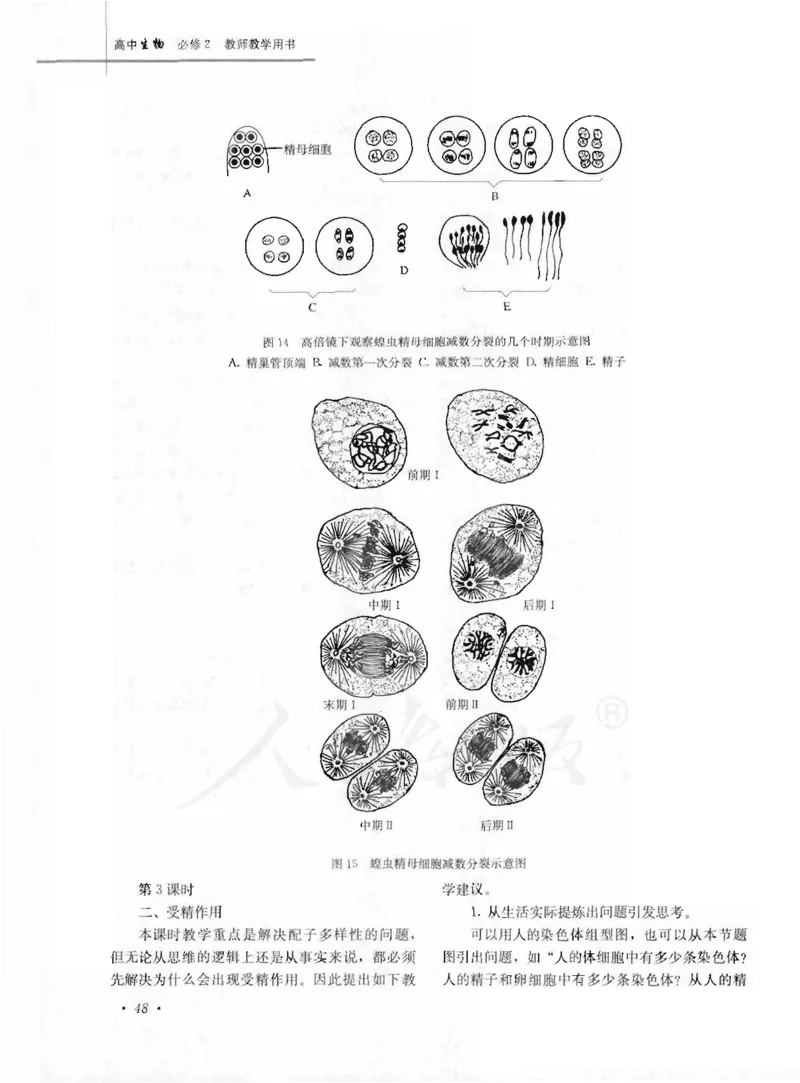 人教版-电子教材-生物2必修遗传与进化教师用书_电子课本_高中教学用书_教师用书