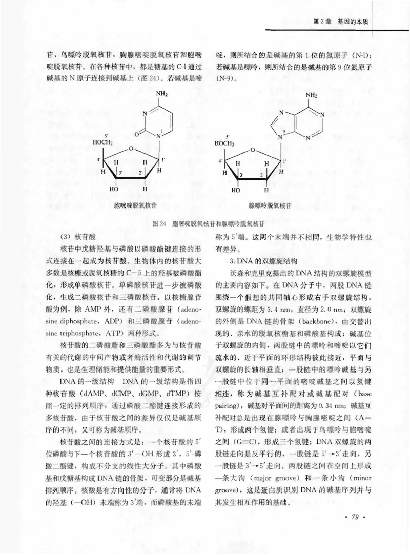 人教版-电子教材-生物2必修遗传与进化教师用书_电子课本_高中教学用书_教师用书