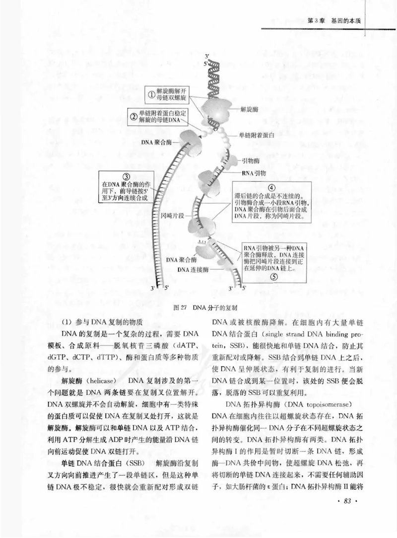 人教版-电子教材-生物2必修遗传与进化教师用书_电子课本_高中教学用书_教师用书