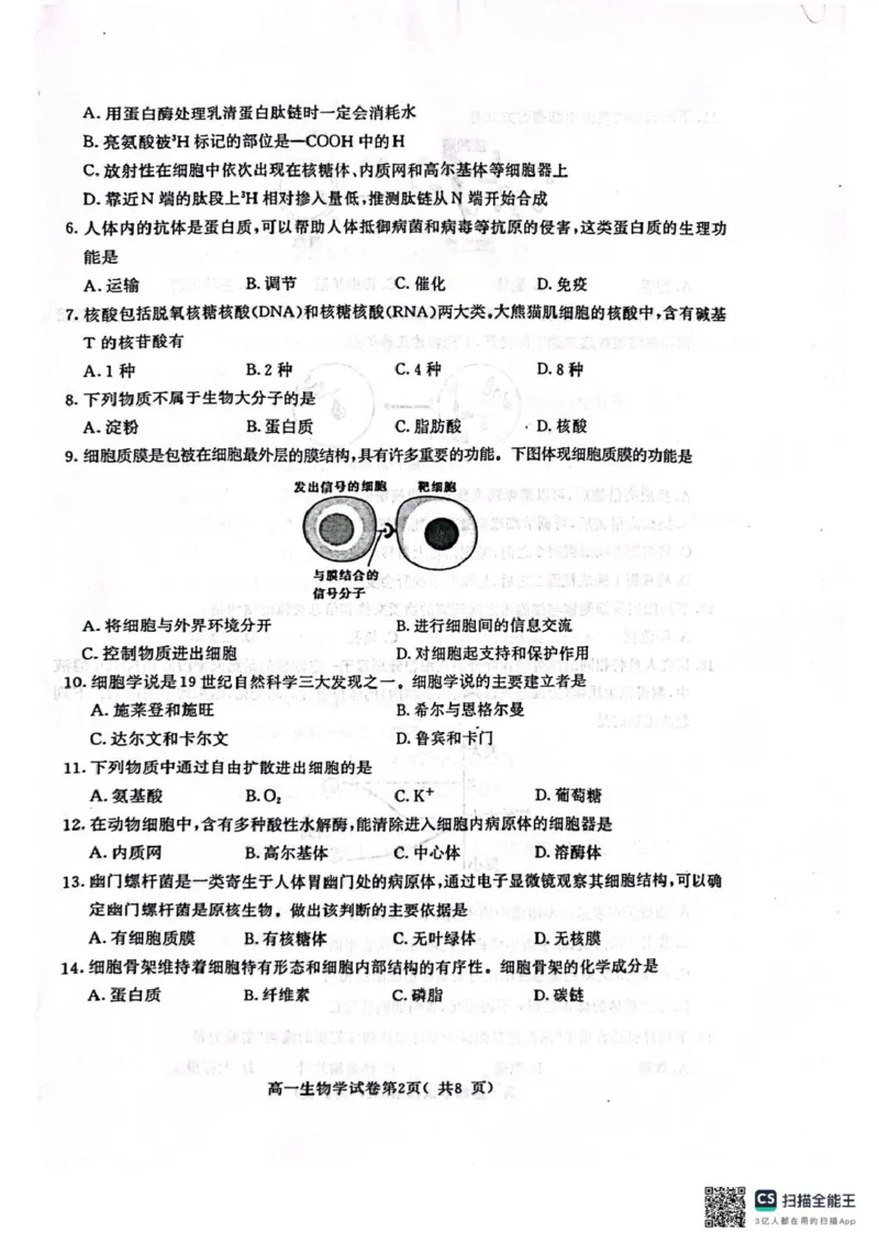 江苏省南京市2024-2025学年高一上学期1月期末学情调研测试生物试题_2025年02月试卷_0205江苏省南京市2024-2025学年高一上学期期末考试