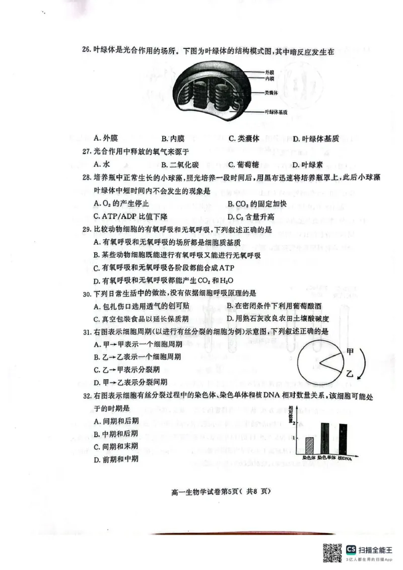 江苏省南京市2024-2025学年高一上学期1月期末学情调研测试生物试题_2025年02月试卷_0205江苏省南京市2024-2025学年高一上学期期末考试