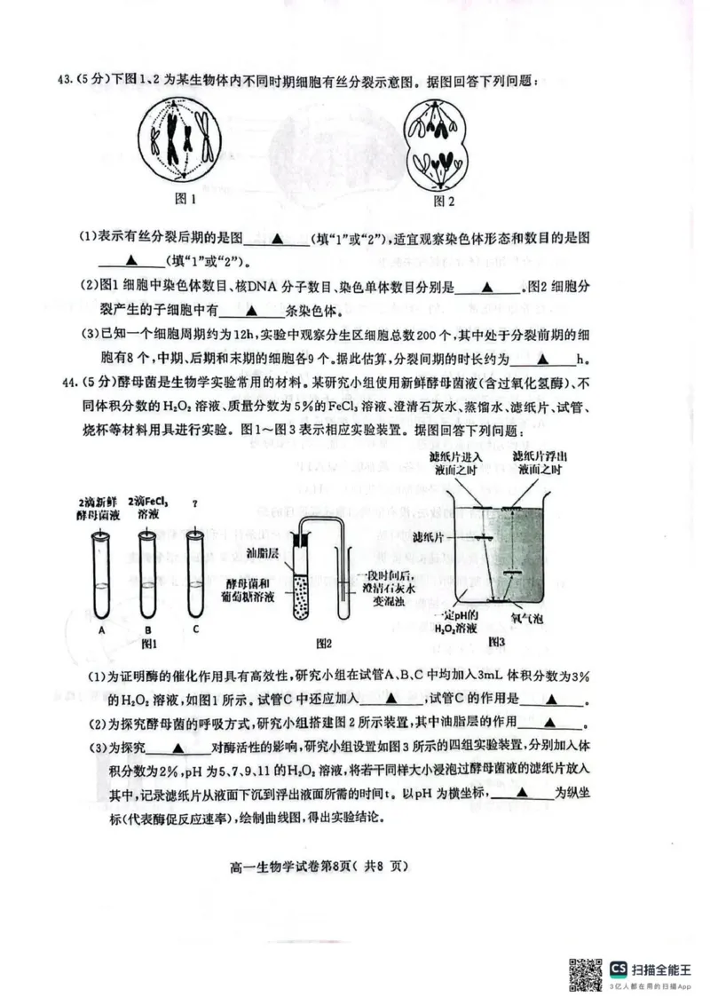 江苏省南京市2024-2025学年高一上学期1月期末学情调研测试生物试题_2025年02月试卷_0205江苏省南京市2024-2025学年高一上学期期末考试