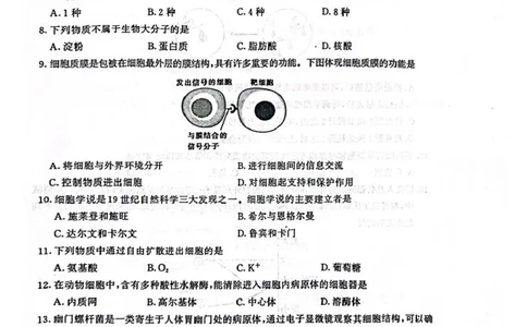 江苏省南京市2024-2025学年高一上学期1月期末学情调研测试生物试题_2025年02月试卷_0205江苏省南京市2024-2025学年高一上学期期末考试