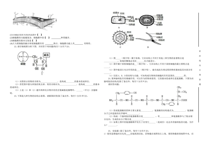 新疆维吾尔自治区喀什地区疏附县2025-2026学年高一上学期11月期中生物试题_2025年11月高一试卷_251115新疆维吾尔自治区喀什地区疏附县2025-2026学年高一上学期11月期中（全）