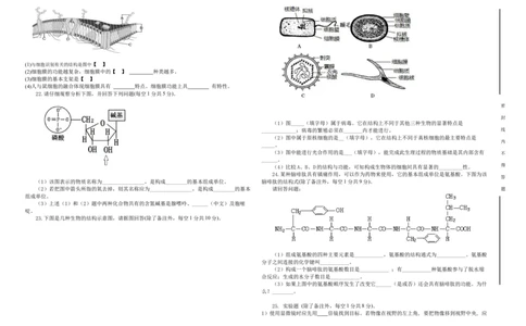 新疆维吾尔自治区喀什地区疏附县2025-2026学年高一上学期11月期中生物试题_2025年11月高一试卷_251115新疆维吾尔自治区喀什地区疏附县2025-2026学年高一上学期11月期中（全）