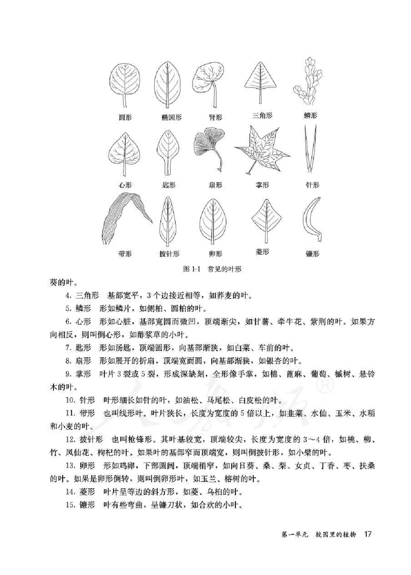 人教版-电子教材-科学一年级下册教师用书_电子课本_高中教学用书_教师用书