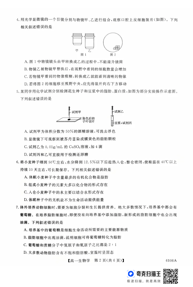 新未来高一生物试题_2025年10月高一试卷_251031河南省新未来大联考2025-2026学年高一上学期10月末质量检测（全）_河南省新未来大联考2025-2026学年高一上学期10月质量检测生物试题含答案