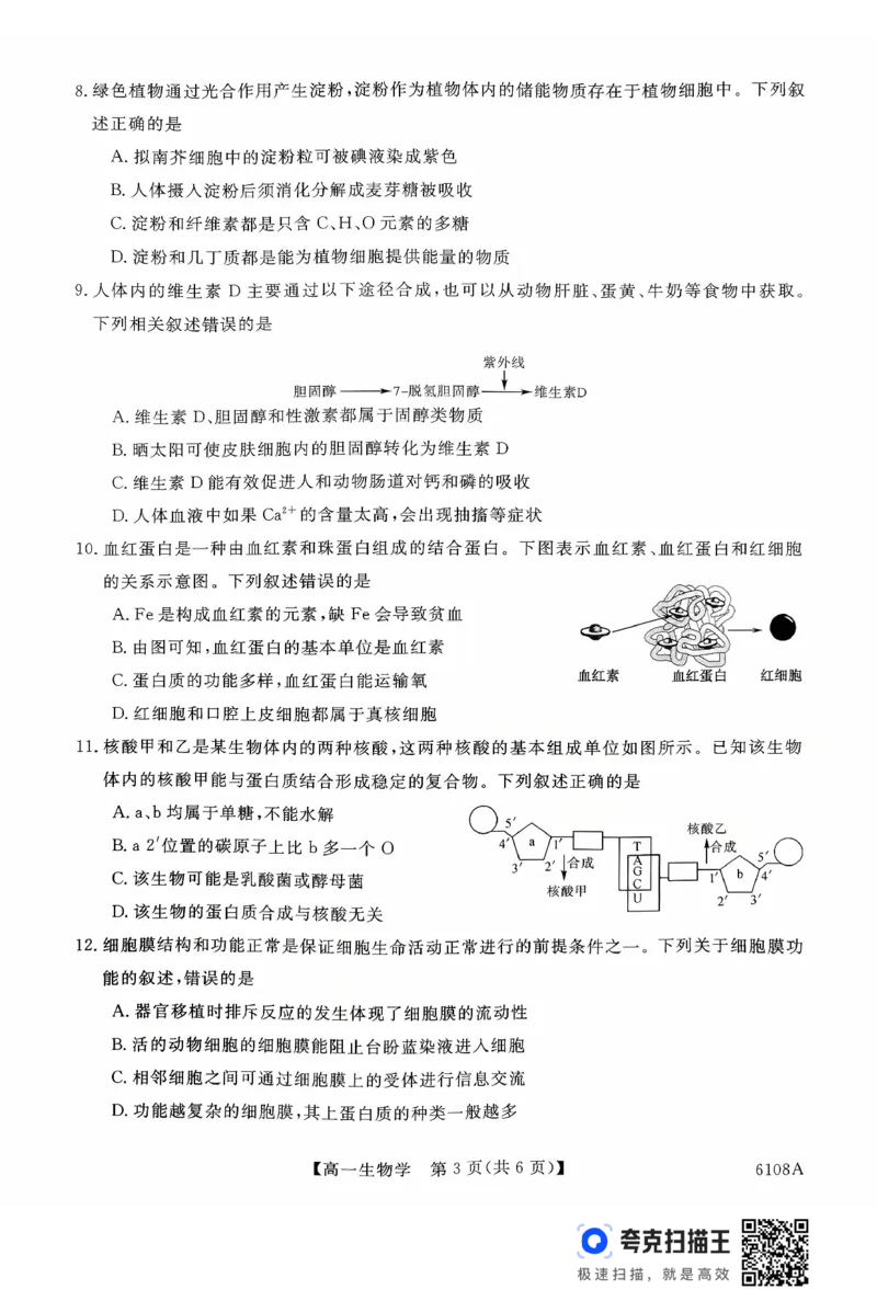 新未来高一生物试题_2025年10月高一试卷_251031河南省新未来大联考2025-2026学年高一上学期10月末质量检测（全）_河南省新未来大联考2025-2026学年高一上学期10月质量检测生物试题含答案