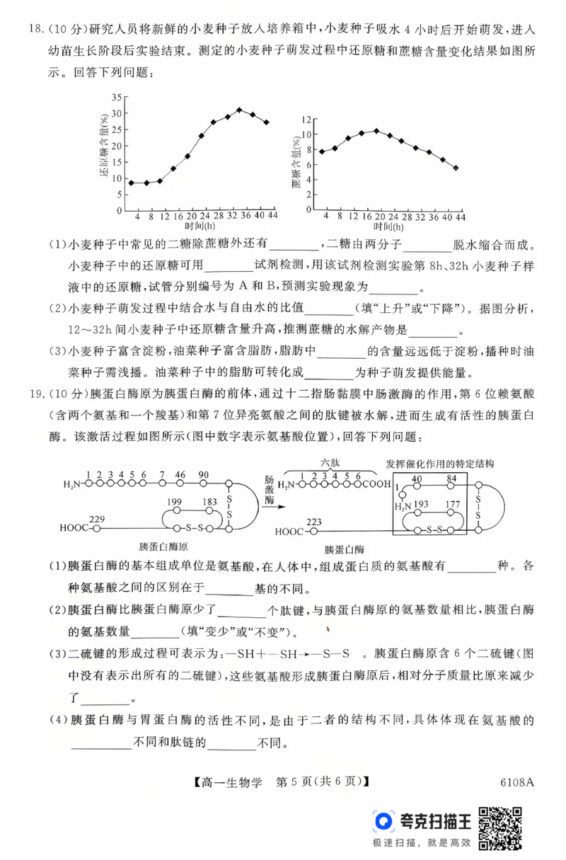 新未来高一生物试题_2025年10月高一试卷_251031河南省新未来大联考2025-2026学年高一上学期10月末质量检测（全）_河南省新未来大联考2025-2026学年高一上学期10月质量检测生物试题含答案