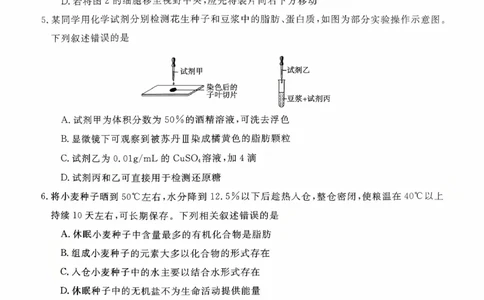 新未来高一生物试题_2025年10月高一试卷_251031河南省新未来大联考2025-2026学年高一上学期10月末质量检测（全）_河南省新未来大联考2025-2026学年高一上学期10月质量检测生物试题含答案
