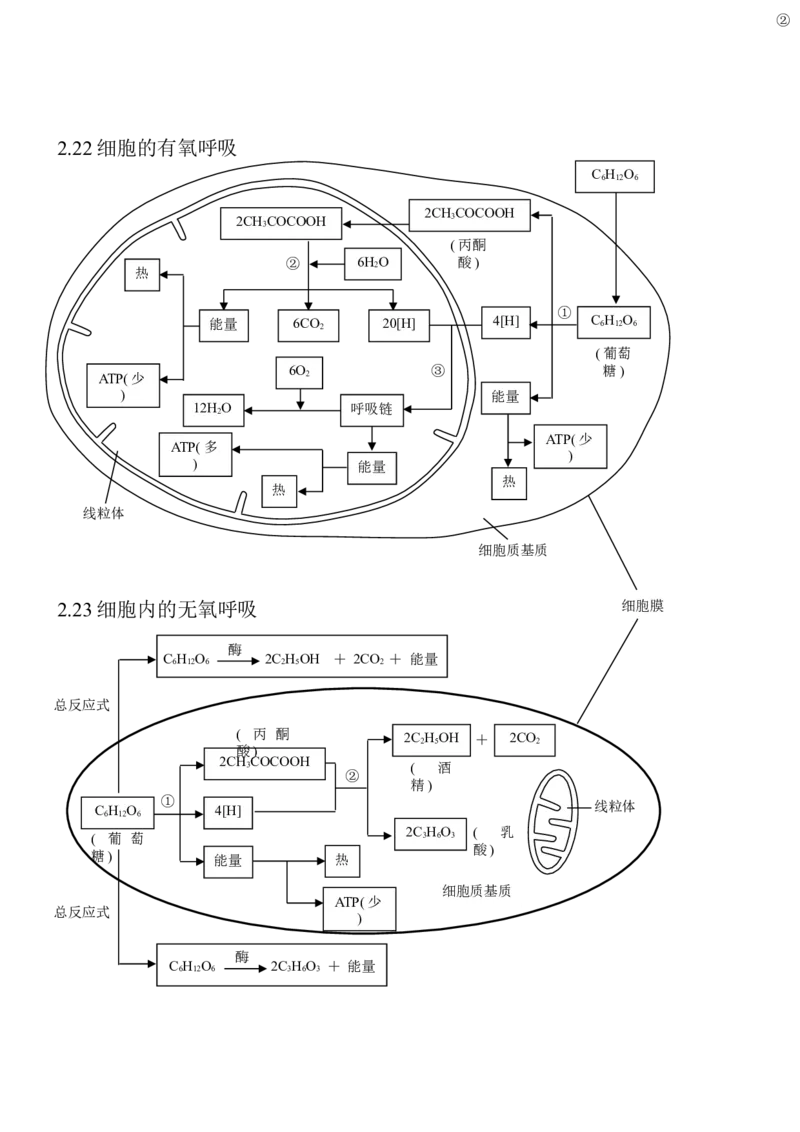14高考生物知识点总结(全)_高中三年全科资料_高中_2高中9科分类资料包_高中理综