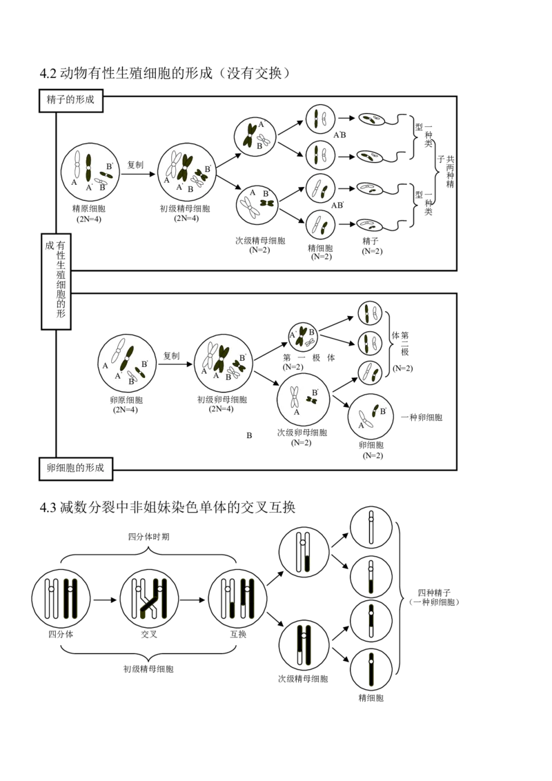 14高考生物知识点总结(全)_高中三年全科资料_高中_2高中9科分类资料包_高中理综