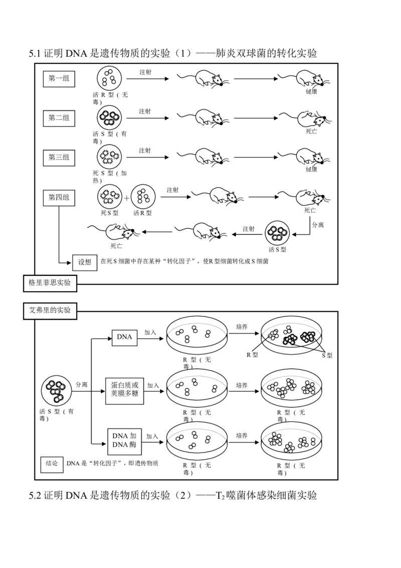14高考生物知识点总结(全)_高中三年全科资料_高中_2高中9科分类资料包_高中理综