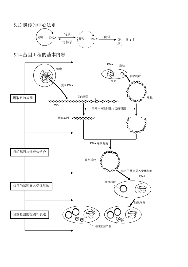 14高考生物知识点总结(全)_高中三年全科资料_高中_2高中9科分类资料包_高中理综