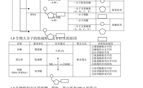 14高考生物知识点总结(全)_高中三年全科资料_高中_2高中9科分类资料包_高中理综