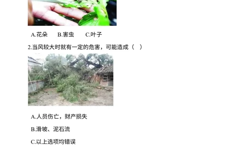 部编版一年级下册道德与法治第2单元测试卷(含答案）_26新一年级道法下册（统编版）_老课标资料_5、单元测试部编一下道法_一年级单元测试