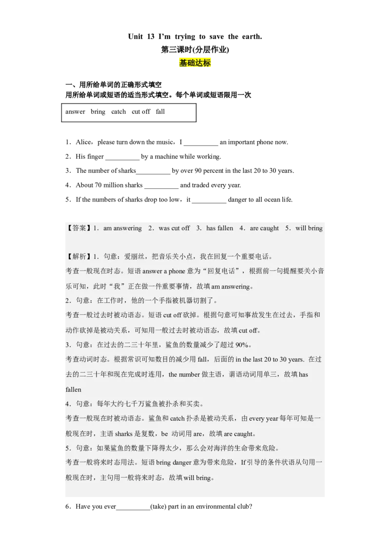 Unit13第3课时(SectionAGrammarFocus-4c)（分层作业）解析版-九年级英语全一册同步备课系列（人教新目标GoForIt!）_最新人教版英语九年级全册_新更新初中英语9全_02课件+教案+学案