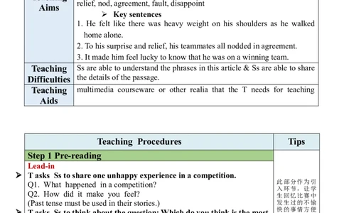Unit11SectionB(2a-2e)_最新人教版英语九年级全册_新更新初中英语9全_05教案（多套）_分课时教案全英_Unit11