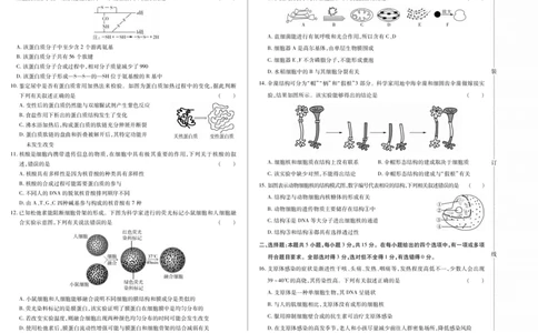 新时代高中教育联合体2025年11月高一学年期中联考巩固卷（二）生物_2025年11月高一试卷_251119黑龙江省新时代高中教育联合体2025年11月高一学年期中联考巩固卷（二）（全）