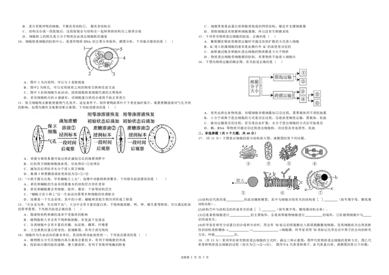 桂林师大附中2025年秋季期中高一生物试卷_2025年11月高一试卷_251128广西桂林师大附中2025年秋季期中高一考试（全）